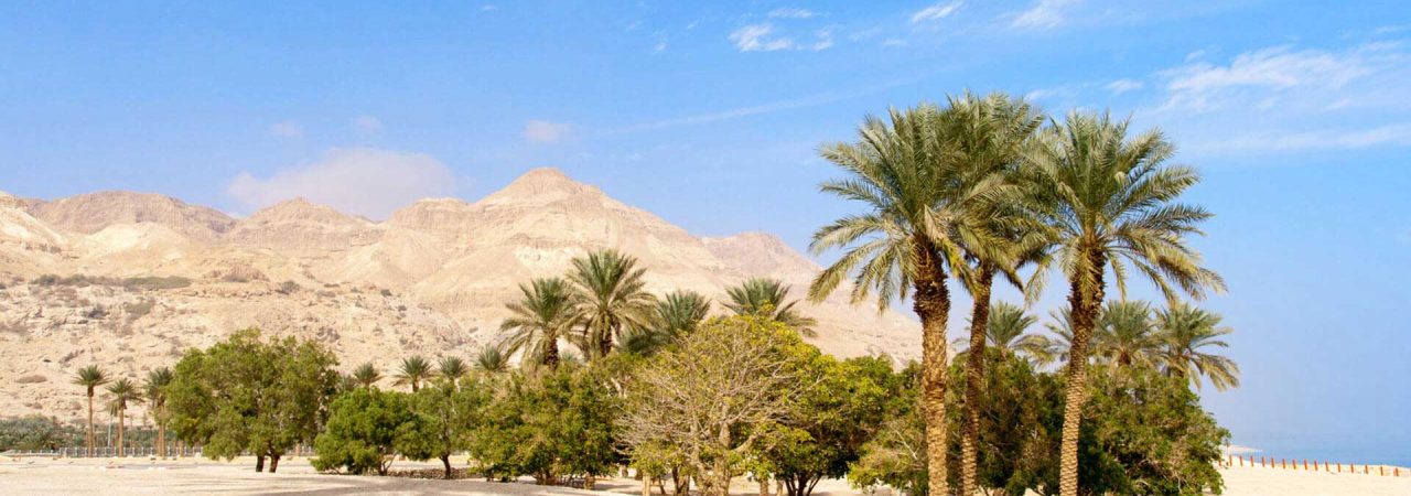 קור-ארץ-ישראלי